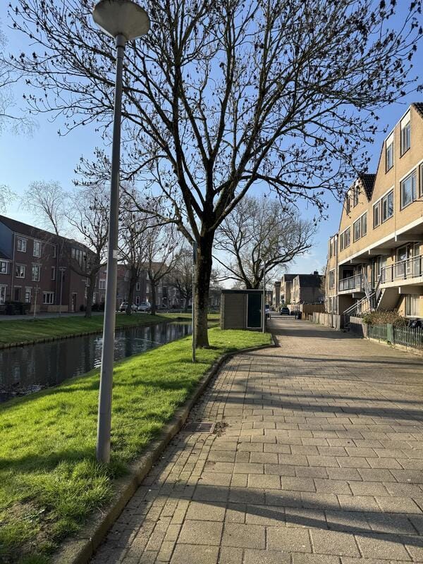 Foto 2 van Rhijnauwensingel 17