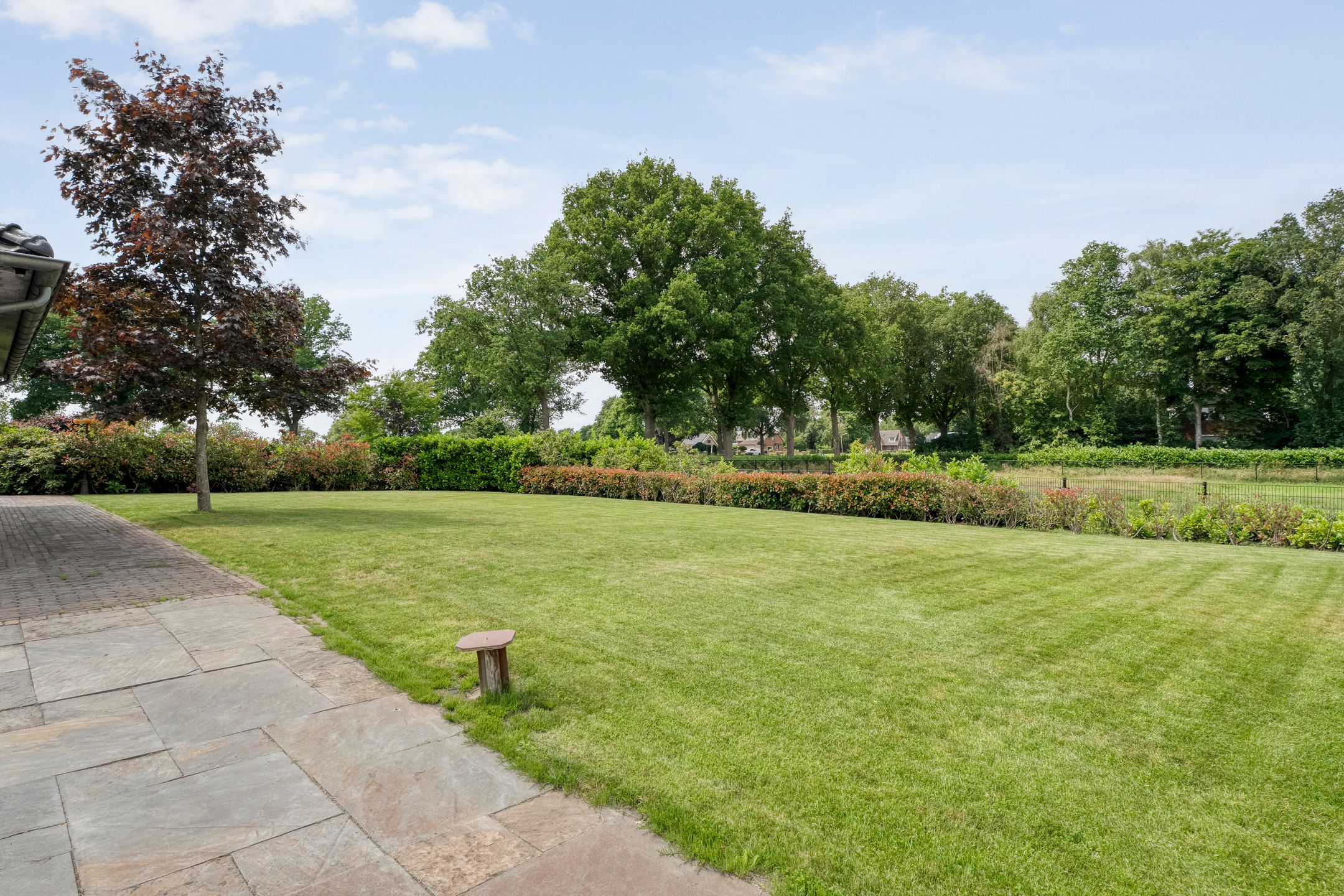 Photo 66 of Nieuwe Daarlerveenseweg 10