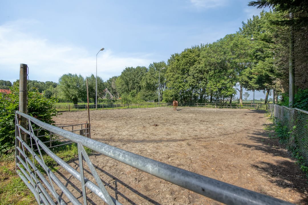 Foto 43 van Grote Abeele 2