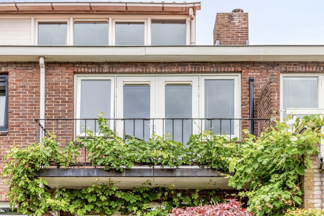 Photo 41 of Alkstraat 16
