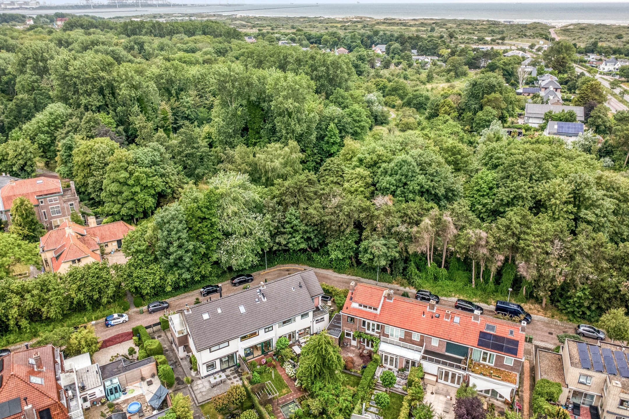 Photo 45 of Alkstraat 16