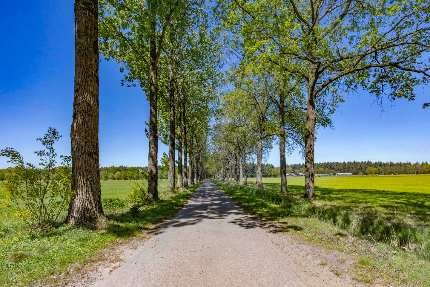 Foto 40 van Prins Hendriklaan 1