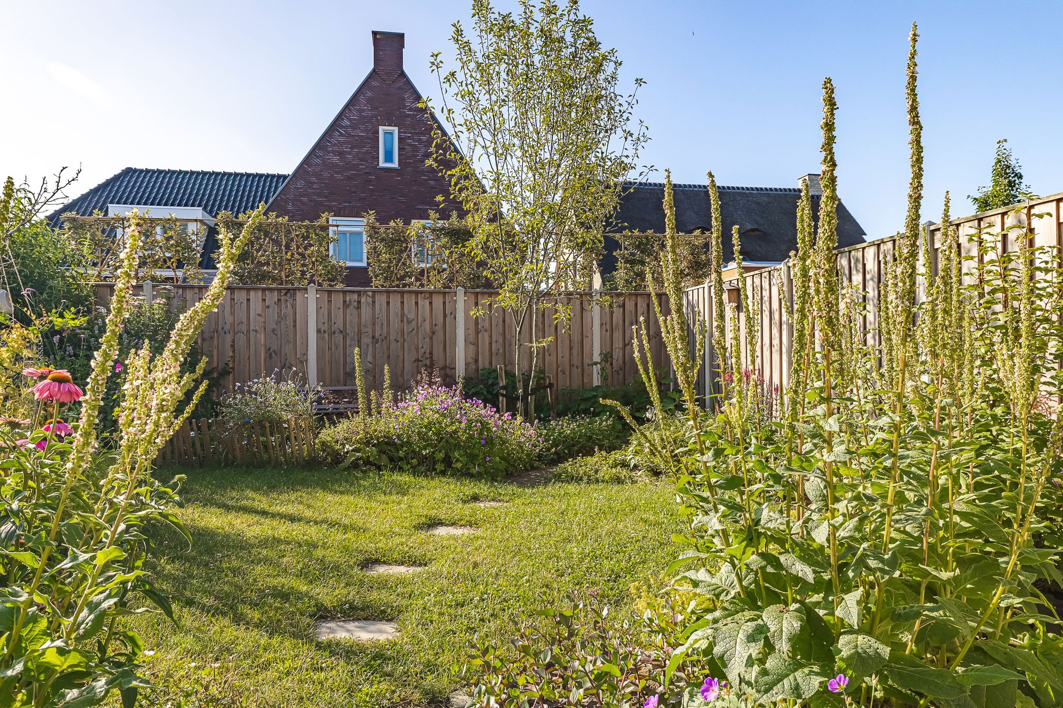Foto 42 van Timberwolfstraat 18