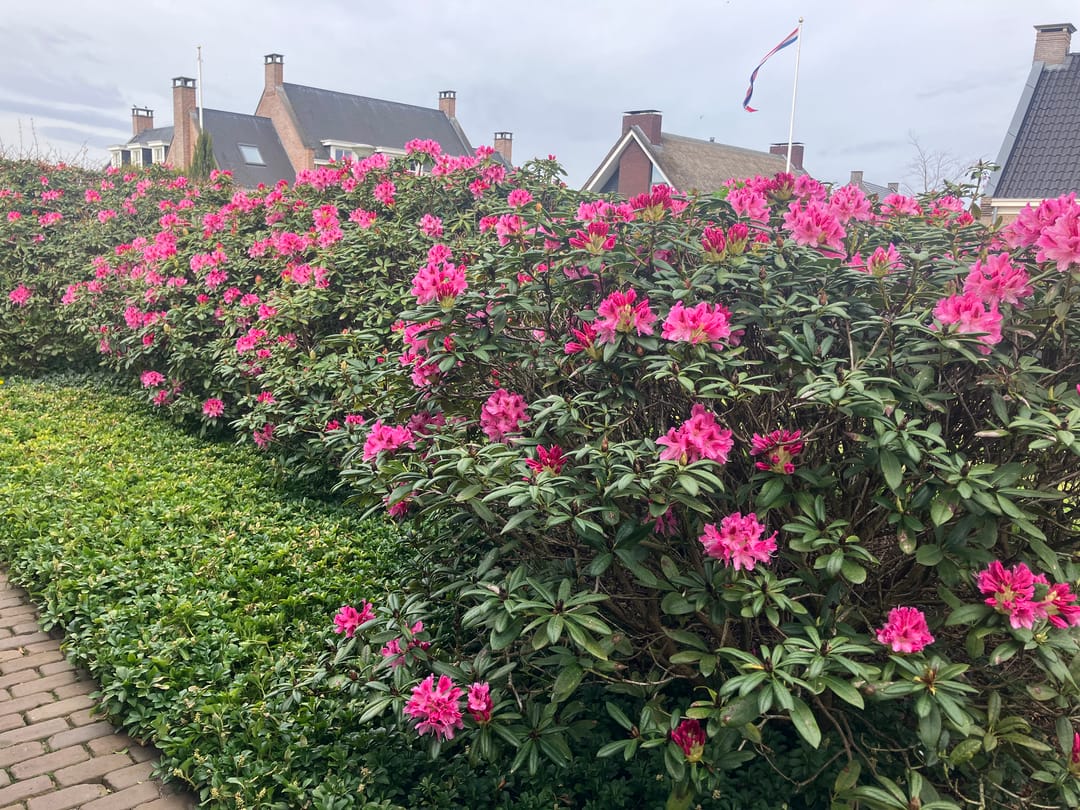 Photo 98 of Poelhoeve 18
