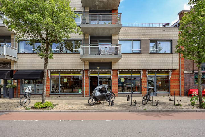 Steynlaan 4, Zeist