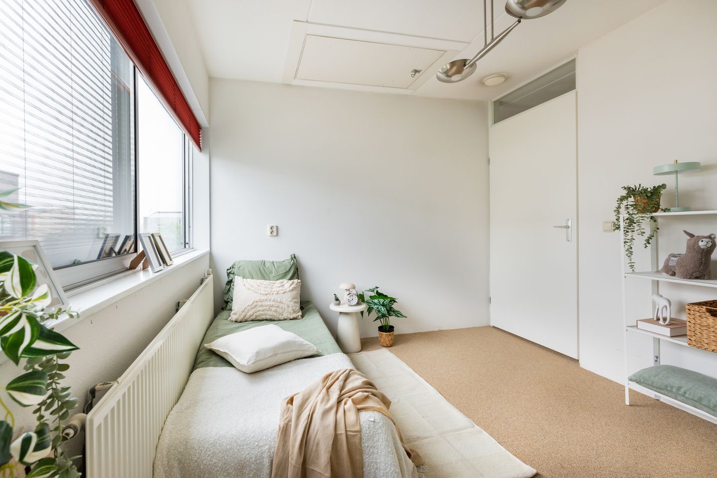 Foto 40 van Spijksterriet 8