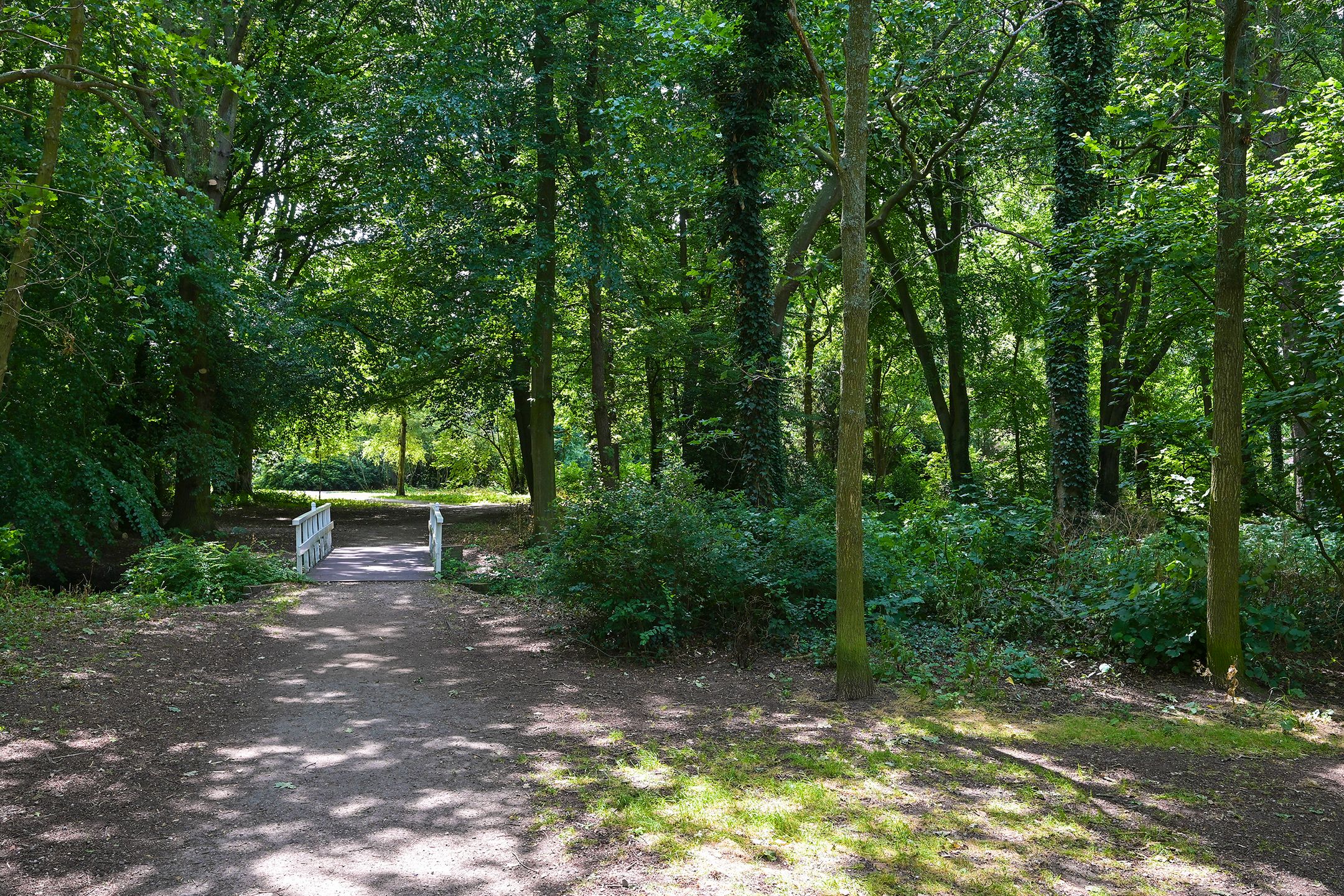 Foto 45 van Goetlijfstraat 122