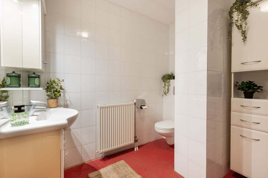 Foto 41 van Spijksterriet 8