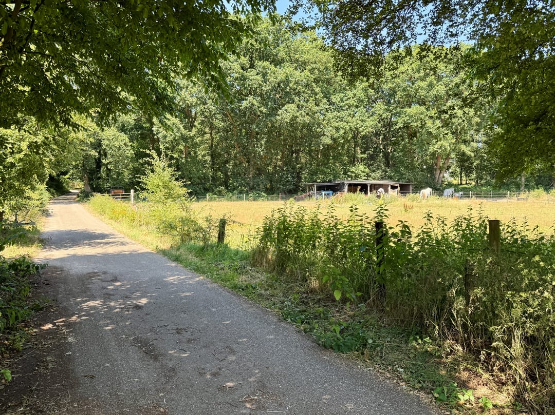 Foto 23 van de Kamp 4-A