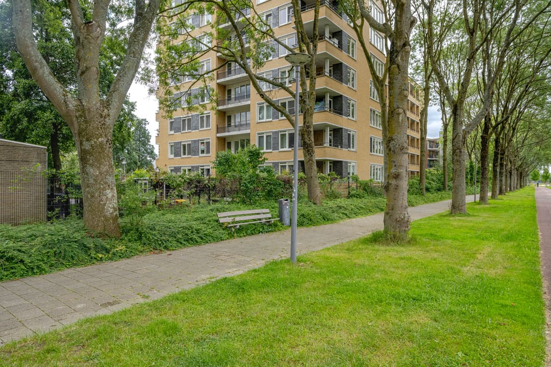 Foto 37 van Baarschootsekreek 2-G