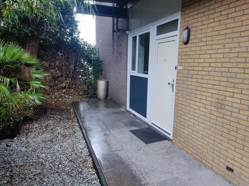 Appartement Plantage 97 — foto 1