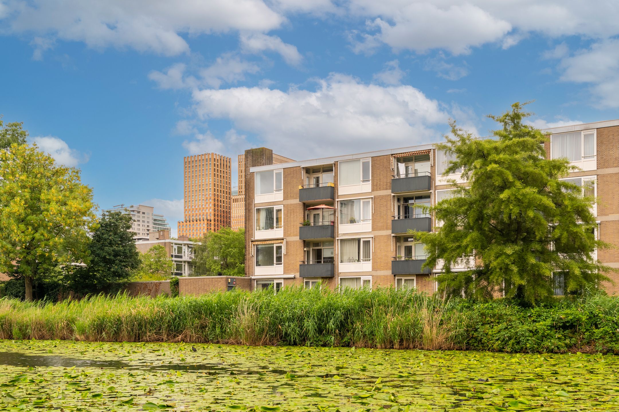 Frieslandstraat 79 