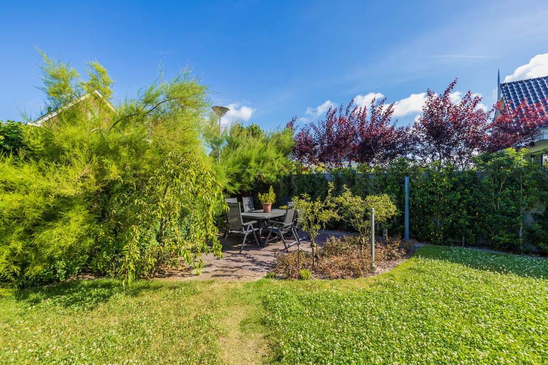 Photo 22 of Hortus 15