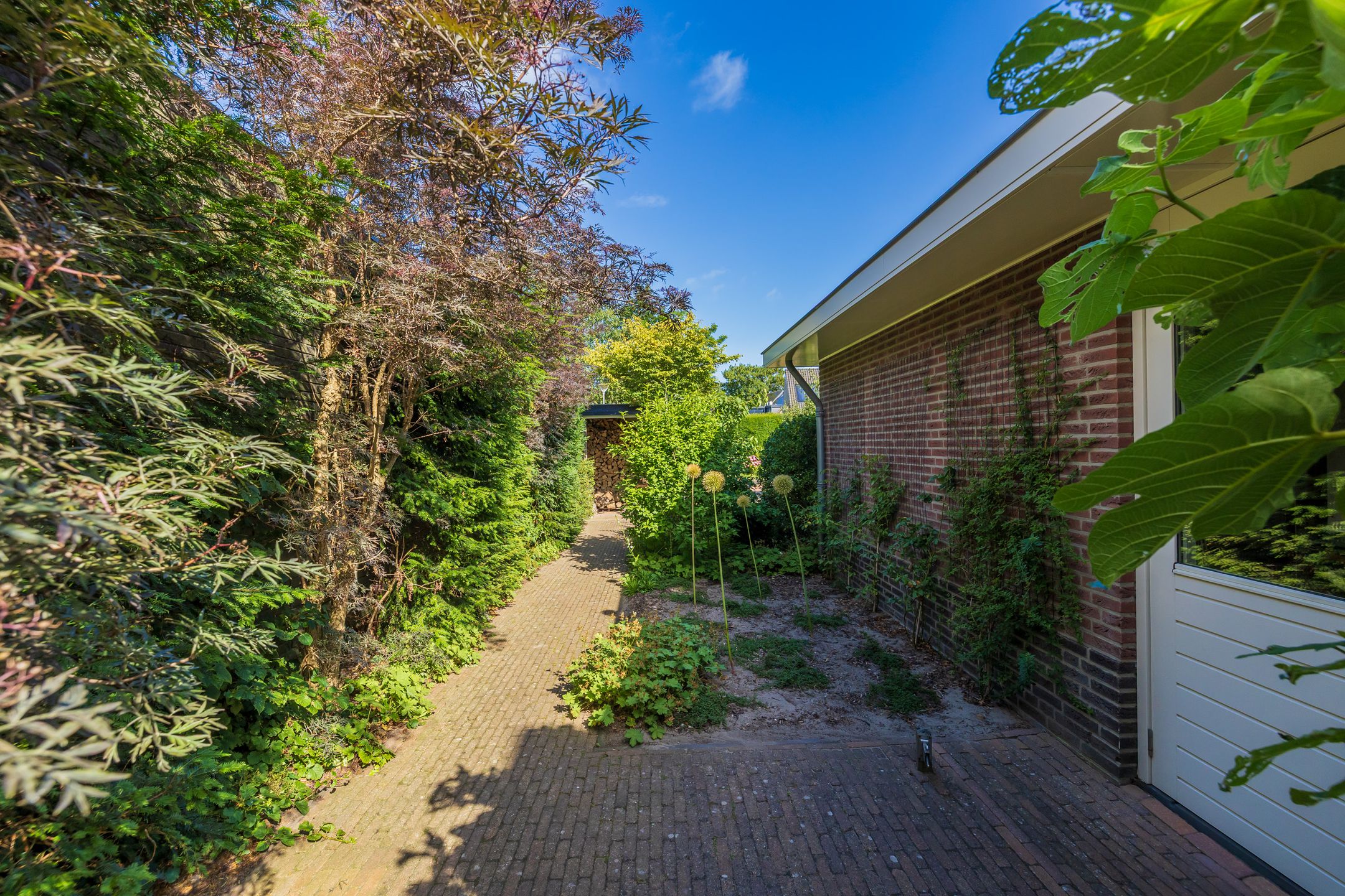 Photo 18 of Hortus 15