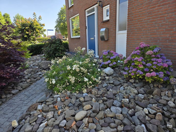 Foto 3 van Koelmoer 51