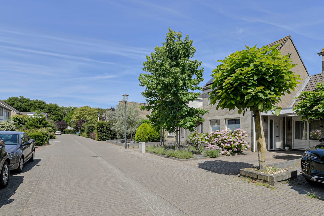Foto 53 van Heideveen 8