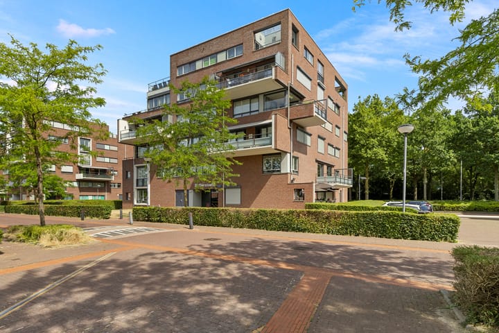 Foto 4 van Zonneveld 42