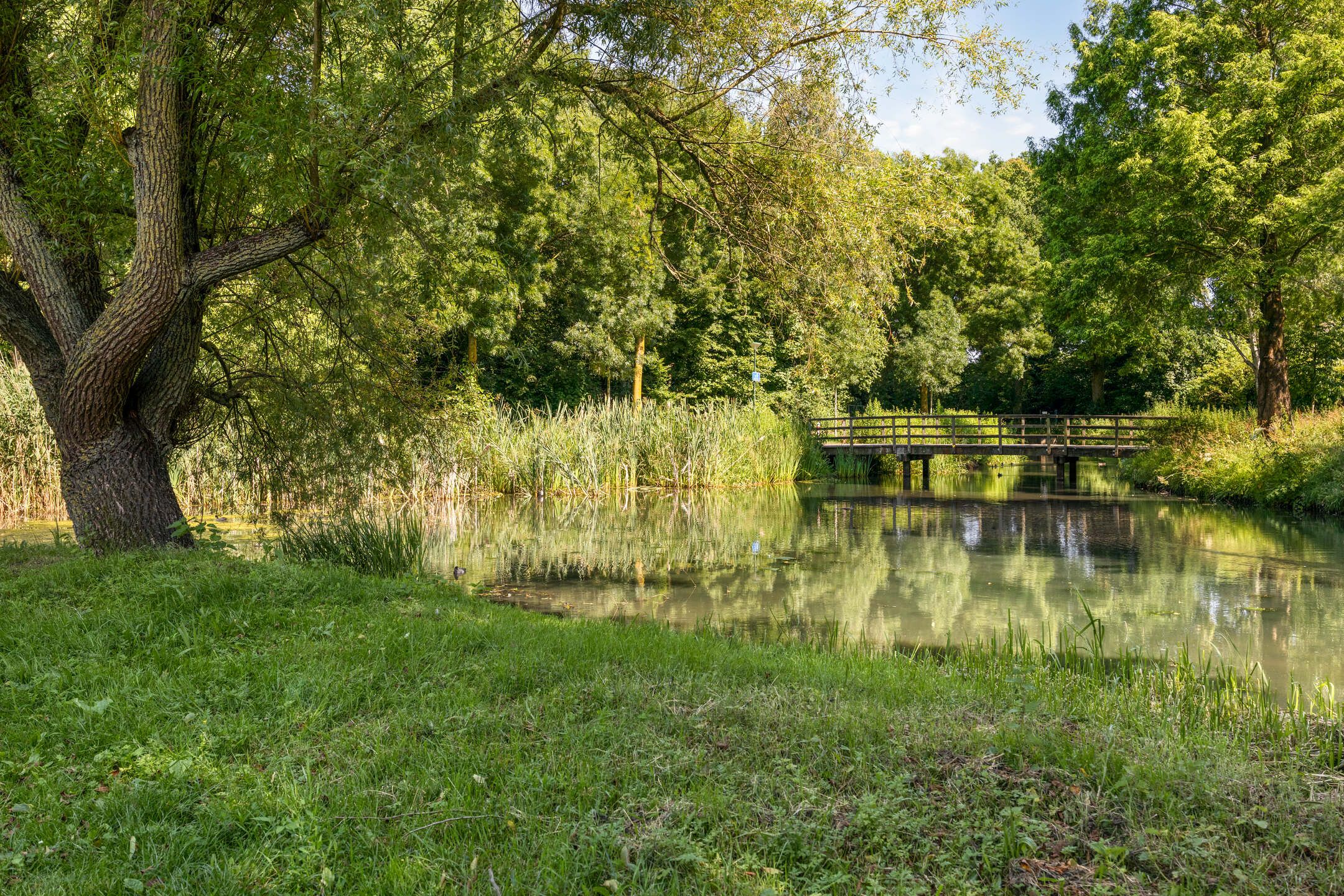 Photo 39 of De Wouw 22