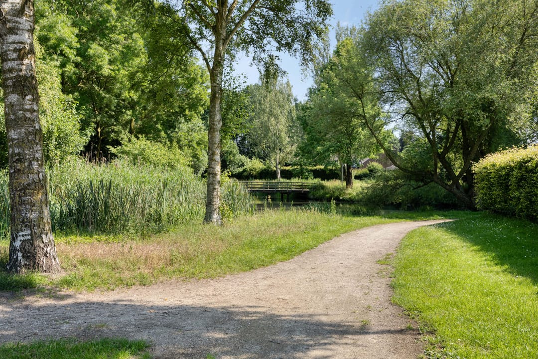 Photo 38 of De Wouw 22