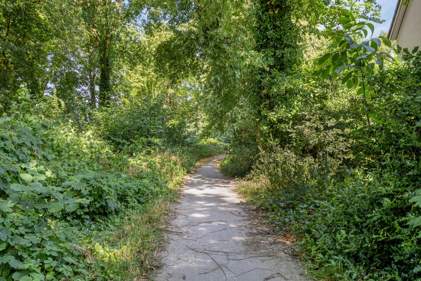 Photo 50 of Thorbeckelaan 22