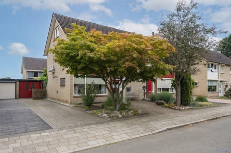 Ververstraat thumbnail