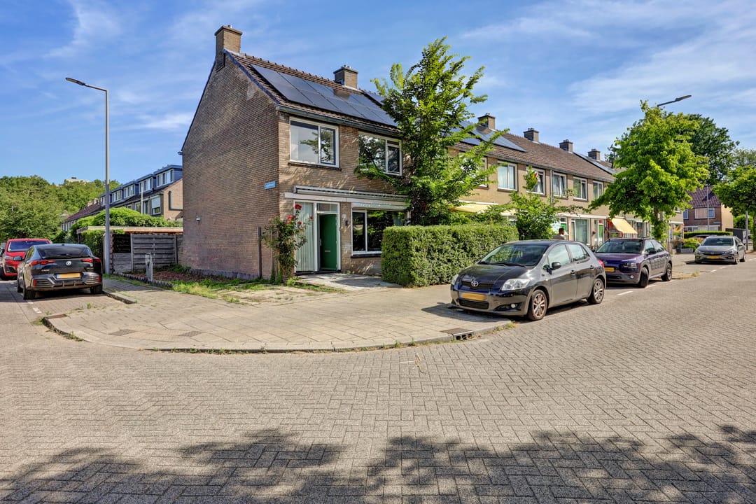 Photo 1 of Geelkruid 83