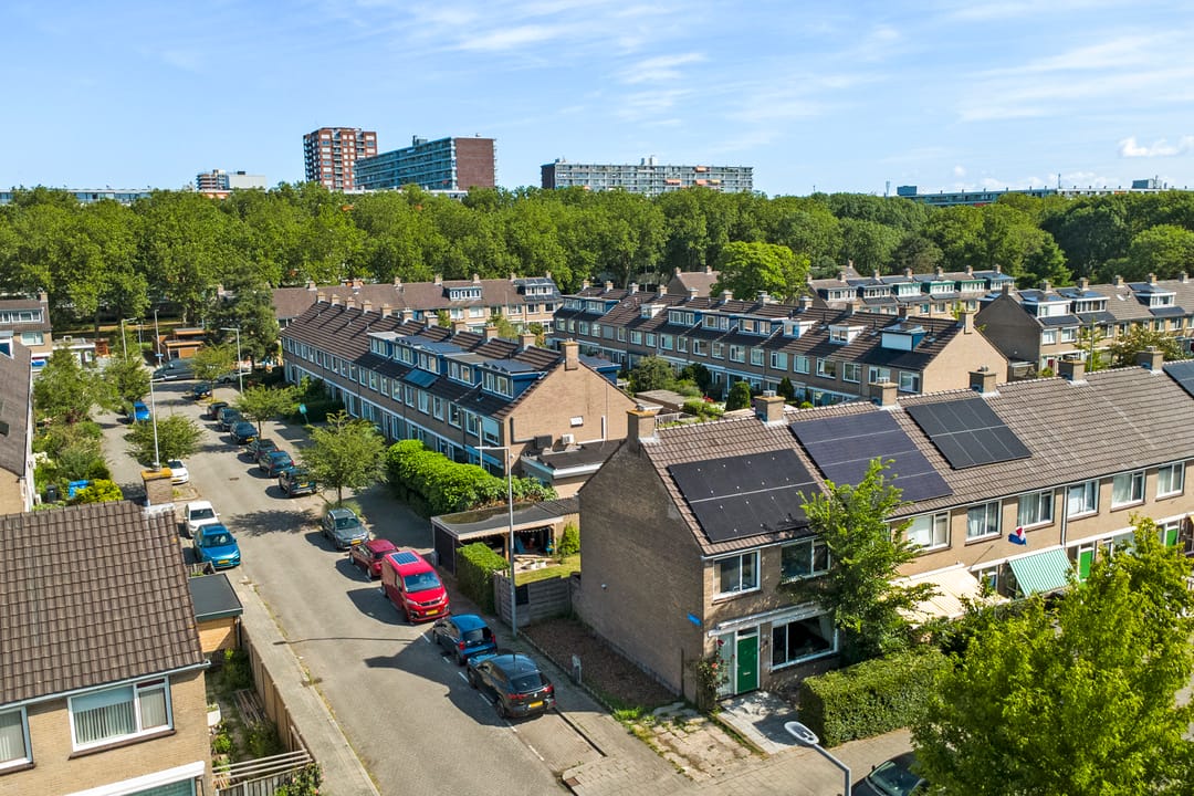 Photo 38 of Geelkruid 83