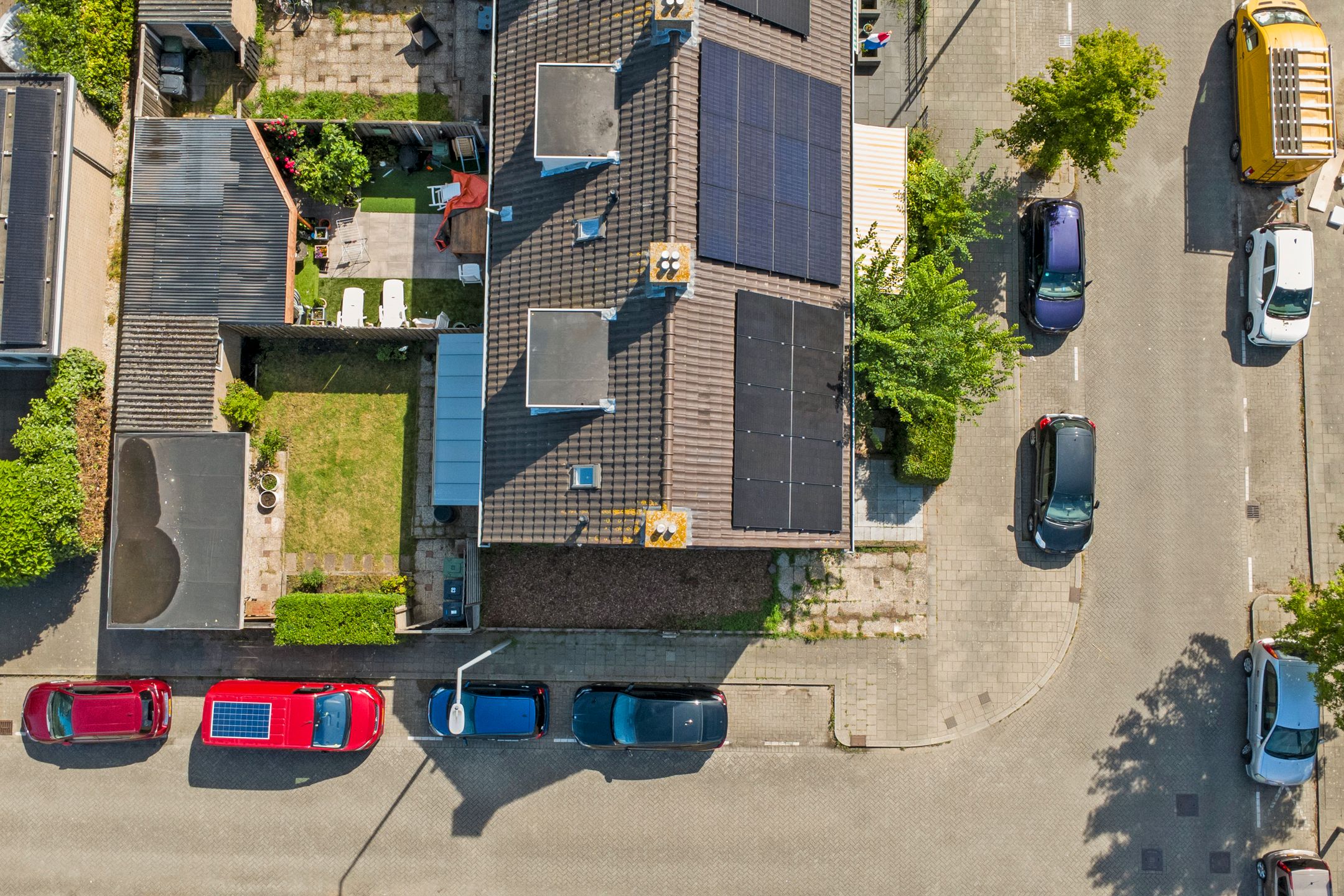 Photo 39 of Geelkruid 83