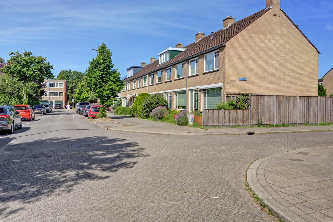 Photo 47 of Geelkruid 83