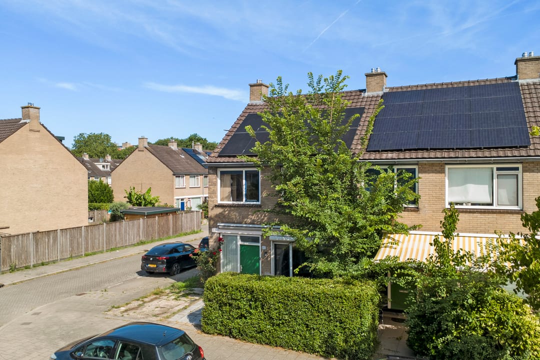 Photo 37 of Geelkruid 83