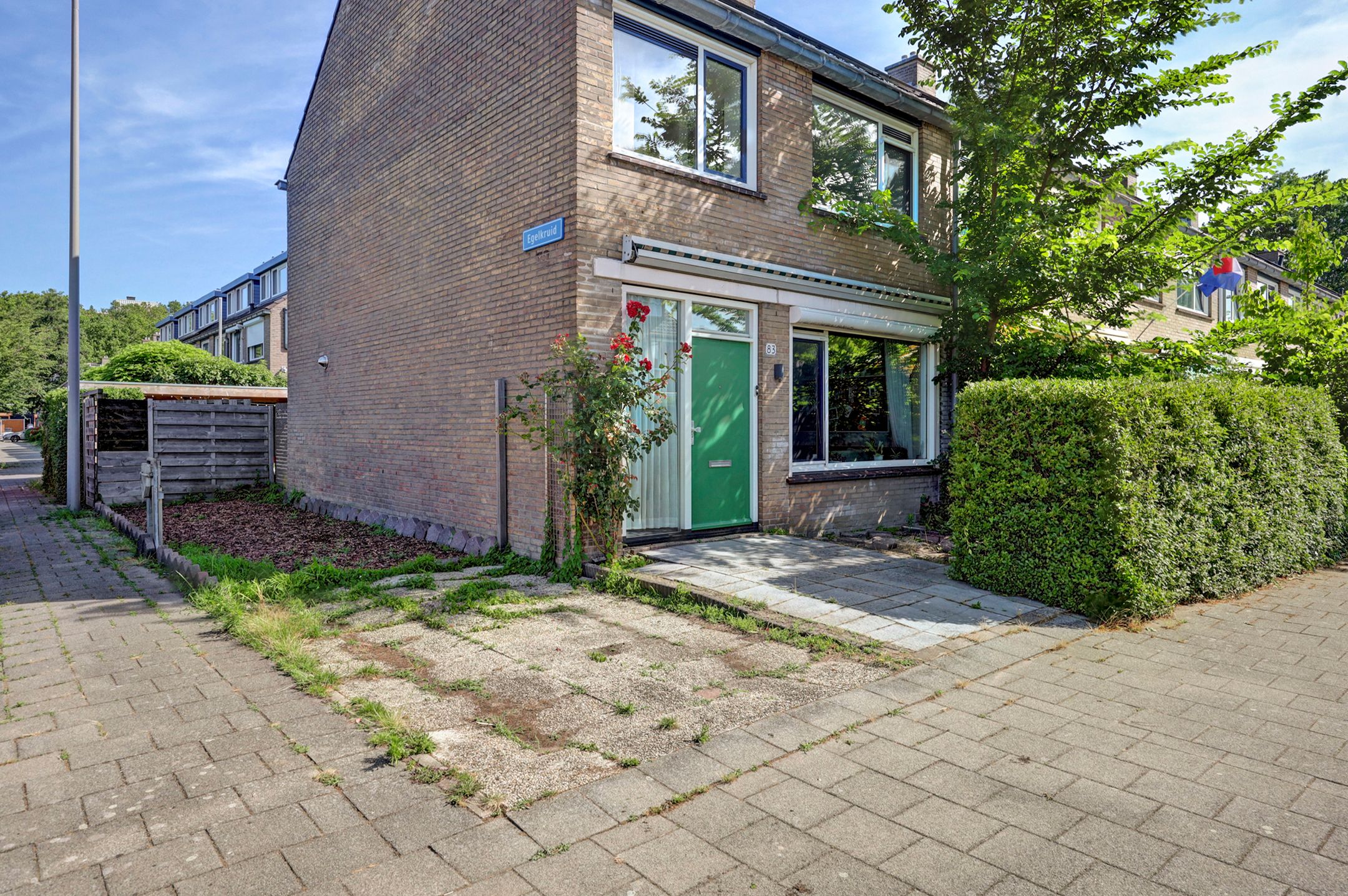 Photo 42 of Geelkruid 83
