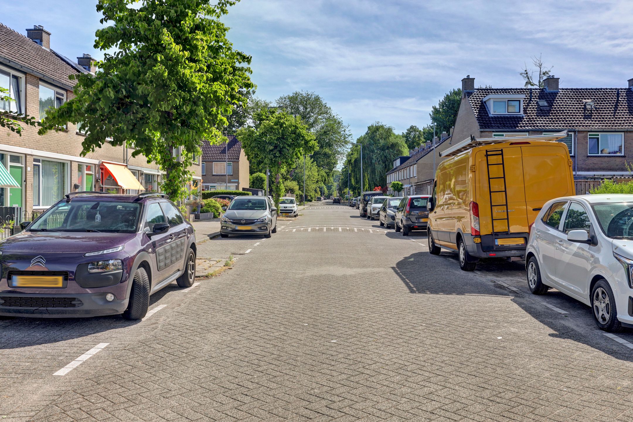 Photo 48 of Geelkruid 83