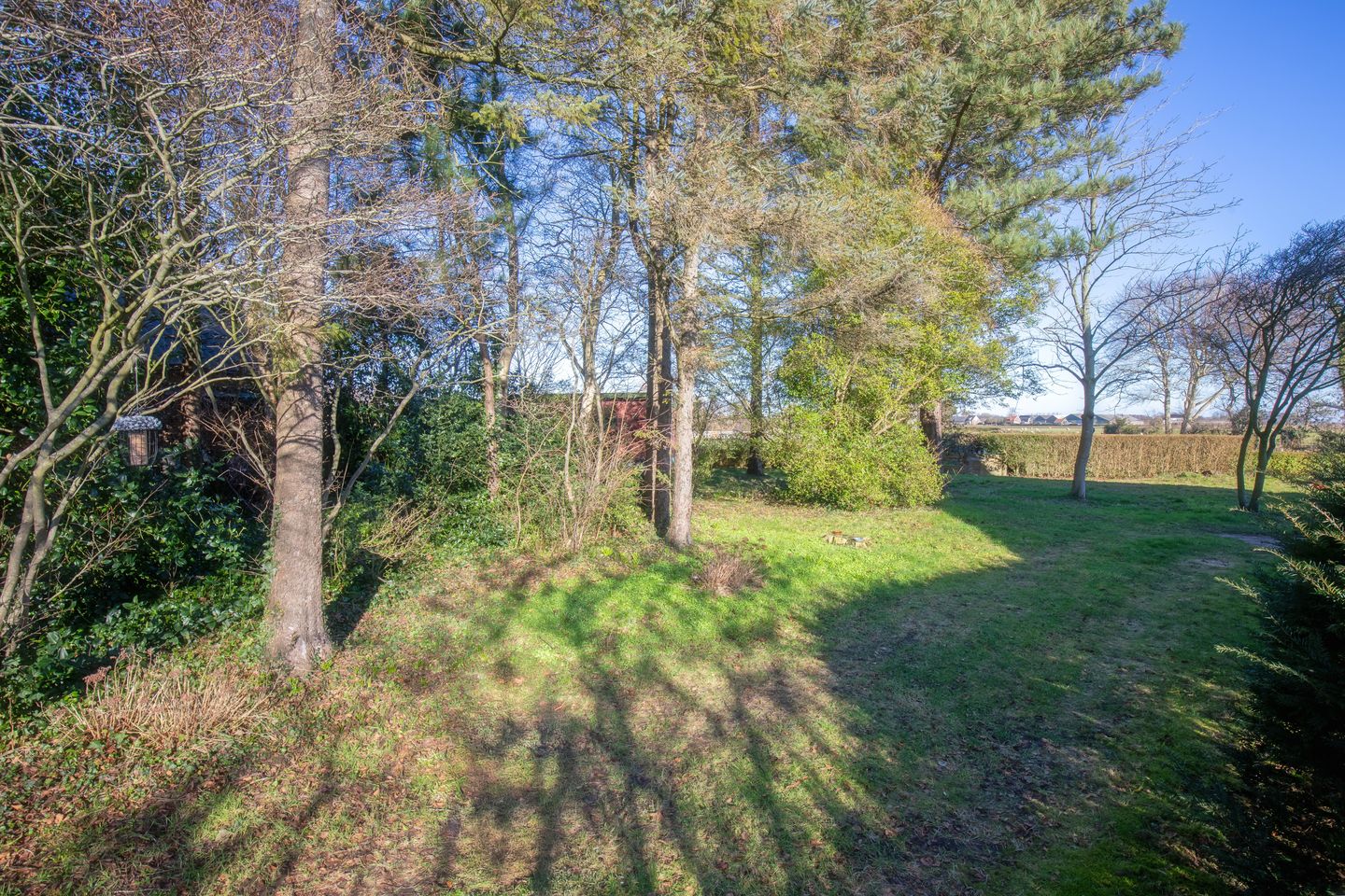 Foto 5 van Schilderend 101 X