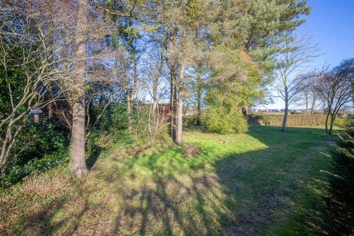 Foto 5 van Schilderend 101 X