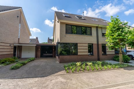 Zilverschoon thumbnail