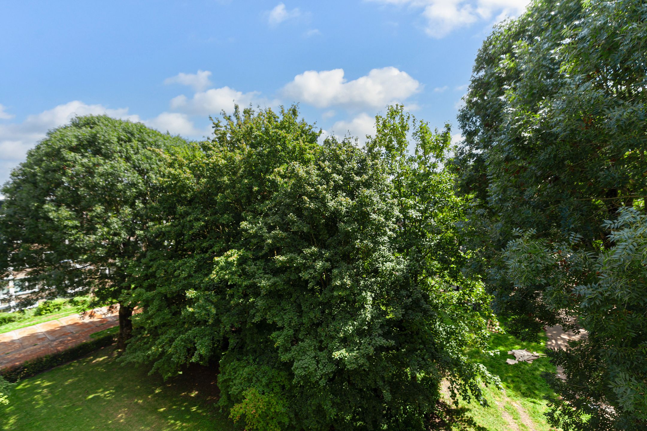 Photo 15 of Vegelinsoord 72