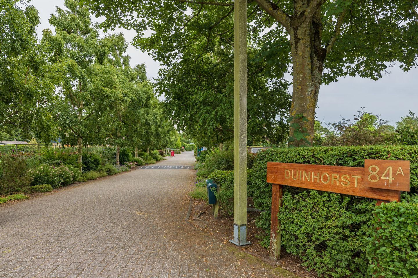 Foto 4 van Duinhorst 100