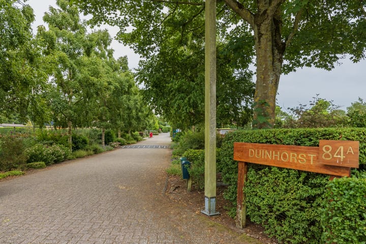 Foto 4 van Duinhorst 100