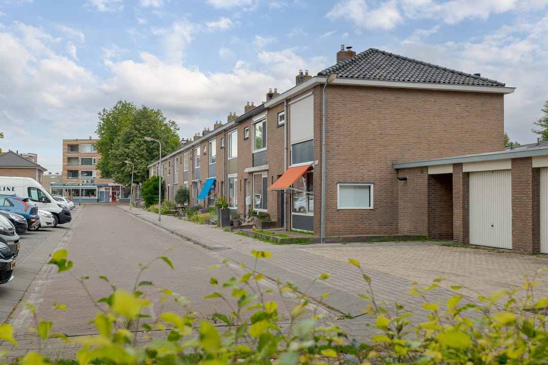Foto 41 van Heinsiusstraat 196