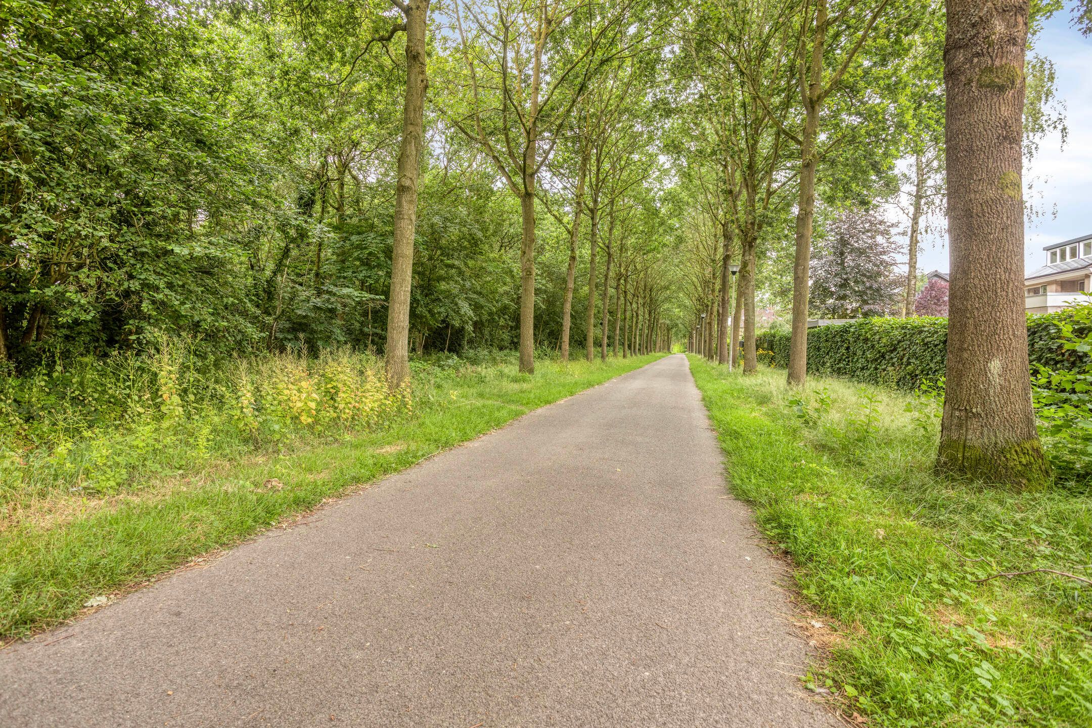 Foto 48 van Streek 19