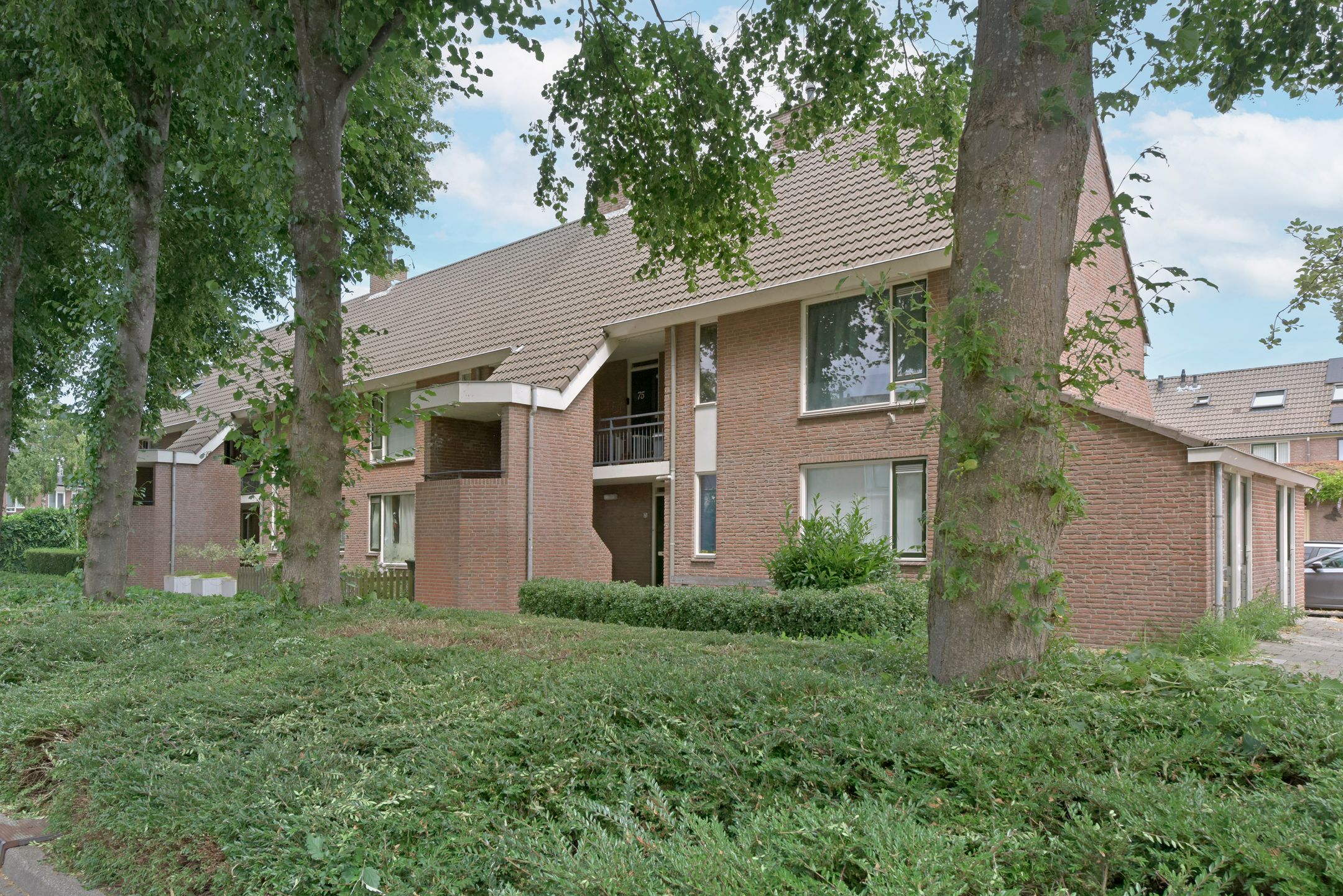 De Halve Roe 73 