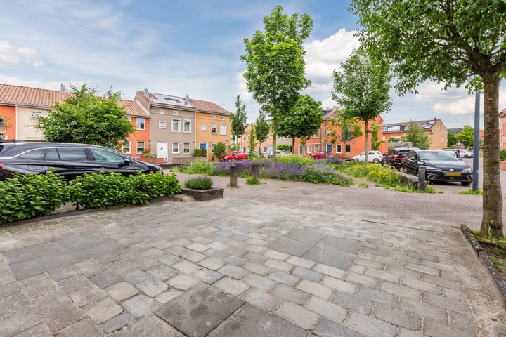 Foto 5 van Veenland 3