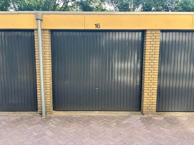 Lupinesingel false