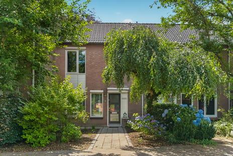 Steenstraat thumbnail