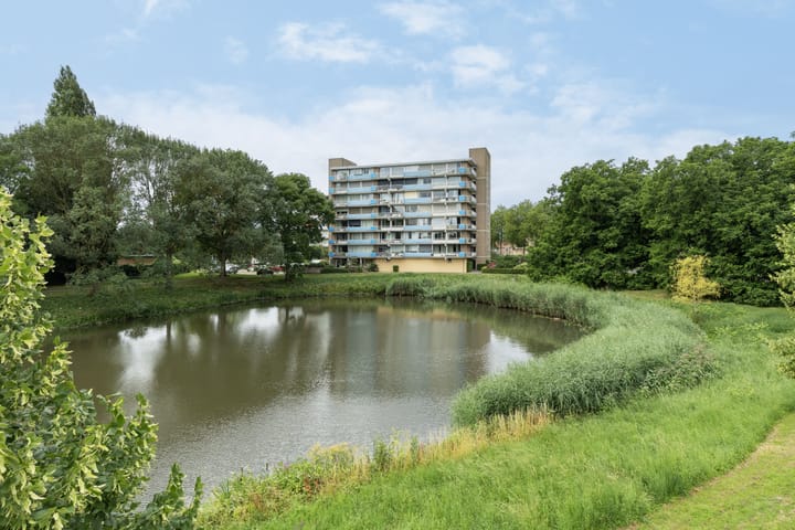 Nagtegaalplaats 61