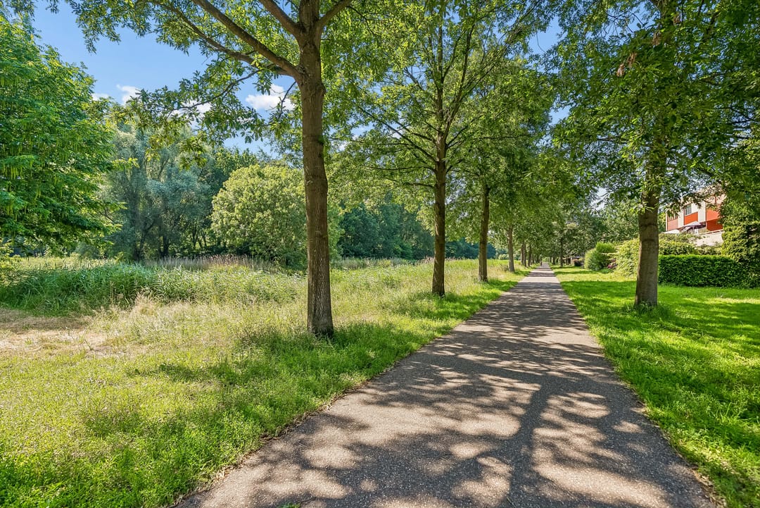Photo 62 of Meistraat 46