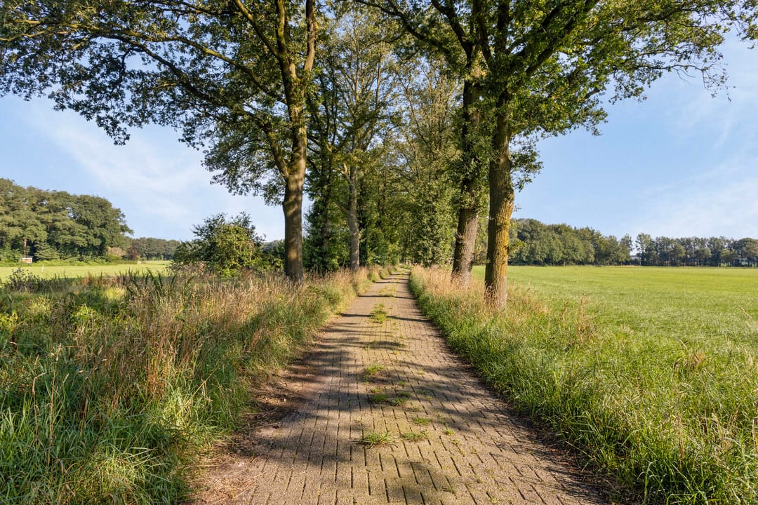 Photo 7 of Holterweg 52-B