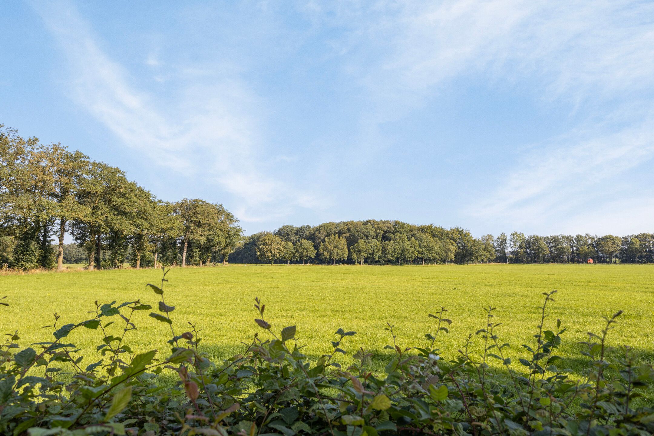 Photo 6 of Holterweg 52-B