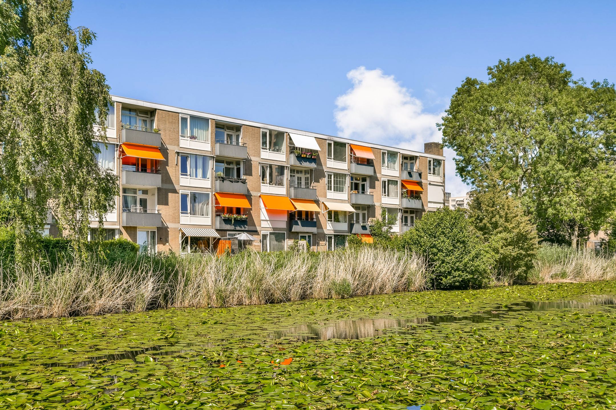 Frieslandstraat 143 