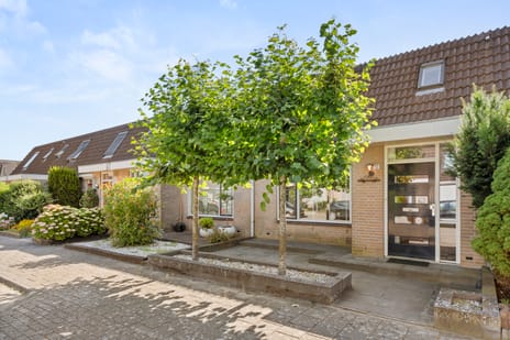 Anna Bijnsstraat thumbnail